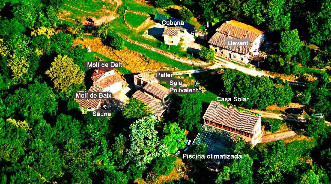 La Cabana Del Moli De La Plana Riudaura Dış mekan fotoğraf