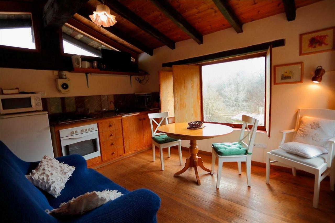 La Cabana Del Moli De La Plana Riudaura Dış mekan fotoğraf