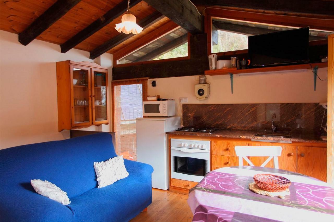 La Cabana Del Moli De La Plana Riudaura Dış mekan fotoğraf