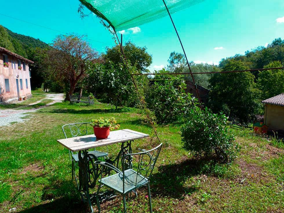 La Cabana Del Moli De La Plana Riudaura Dış mekan fotoğraf