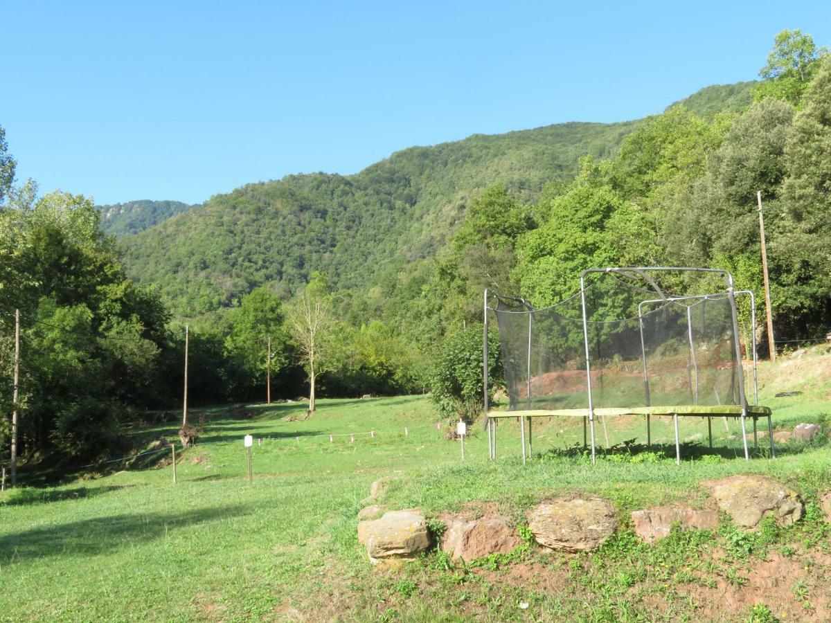 La Cabana Del Moli De La Plana Riudaura Dış mekan fotoğraf