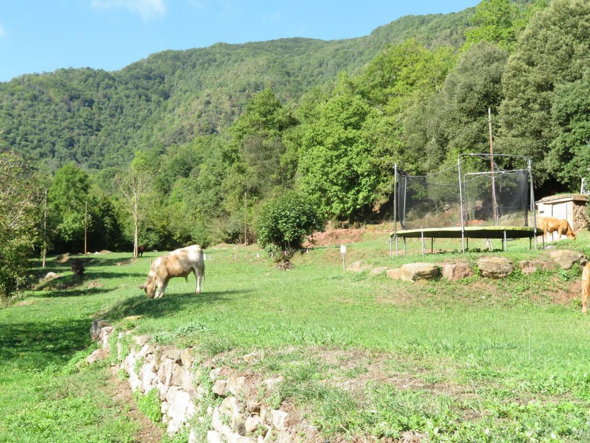 La Cabana Del Moli De La Plana Riudaura Dış mekan fotoğraf